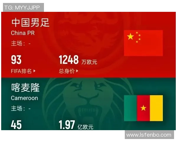 国足0-2喀麦隆遭遇重创走出困境的考验与收获并存
