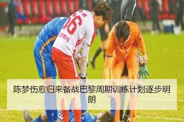 陈梦伤愈归来备战巴黎周期训练计划逐步明朗